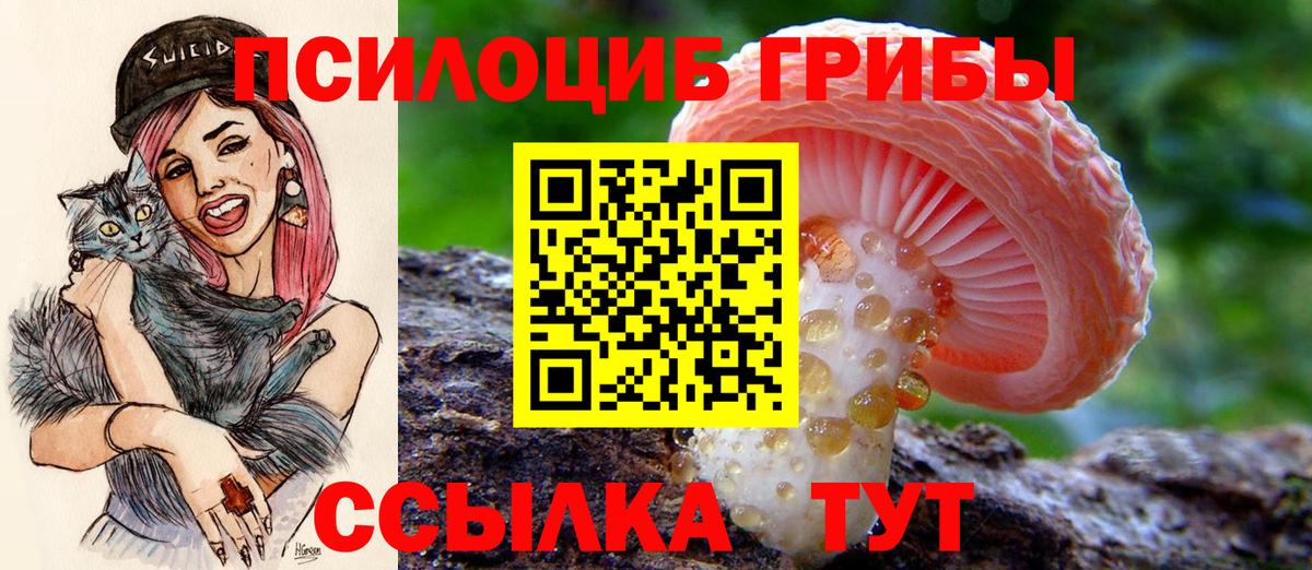 Псилоцибиновые грибы Psilocybe Ростов Великий