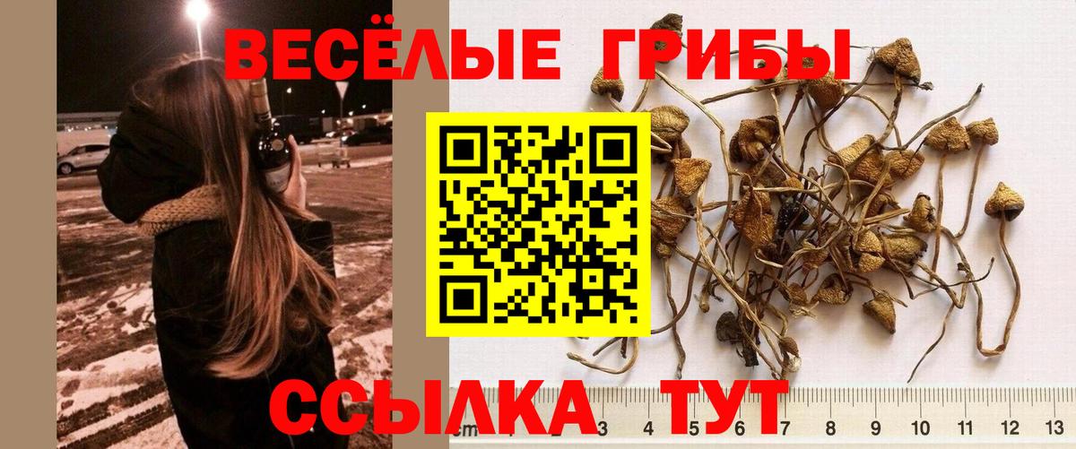 Конопля  Меф кристаллы  Ростов Великий  Alpha PVP СК   NBOMe  Вход с VPN  Купить закладку  ГАШ 